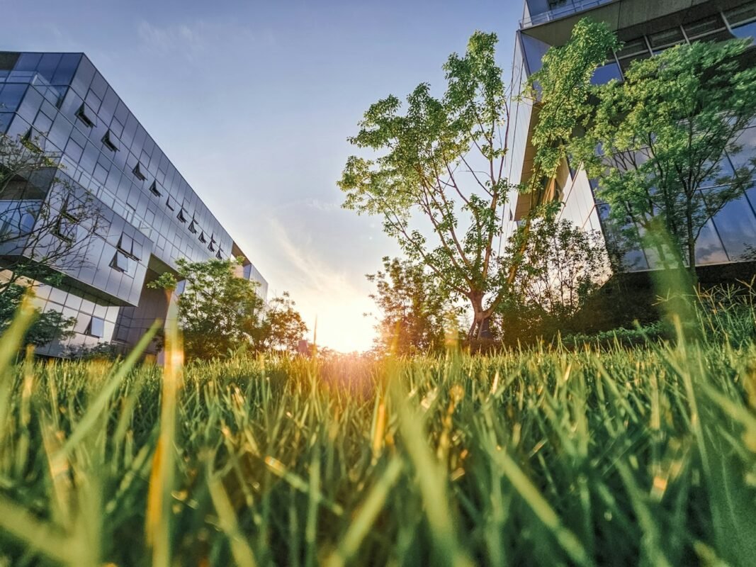Sustainable buildings and green landscape